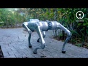 Robot Unitree Go 2