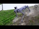 Robot Unitree B2