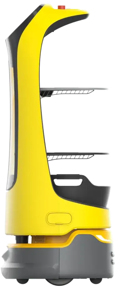 Kettybot Pro