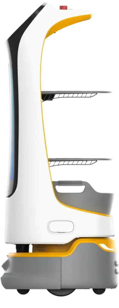 Kettybot Pro