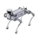 Robot Unitree B2